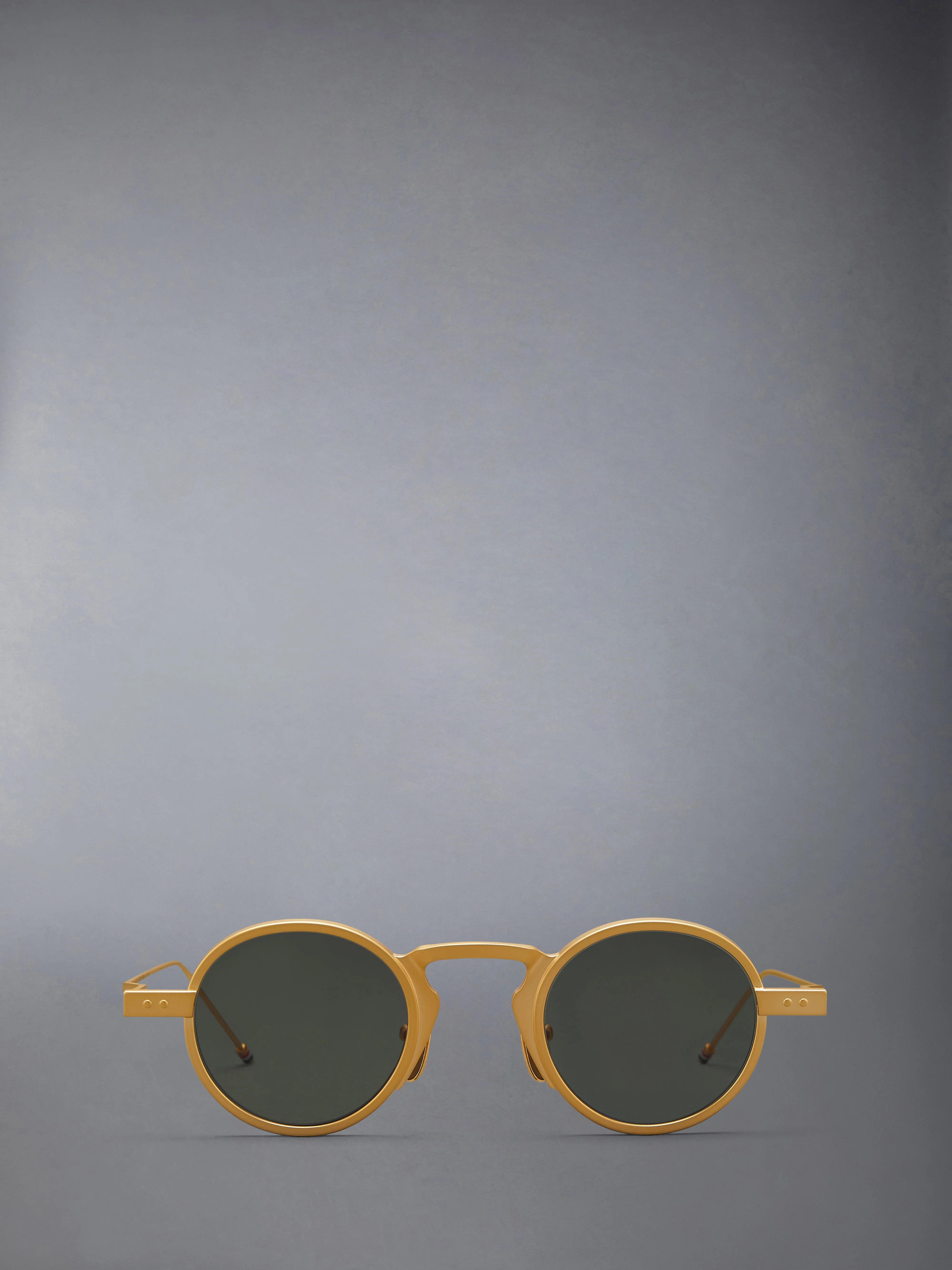 TITANIUM ROUND SUNGLASSES